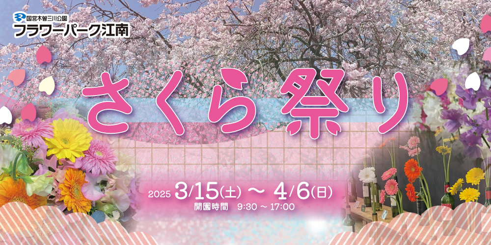 フラワーパーク江南 さくら祭り