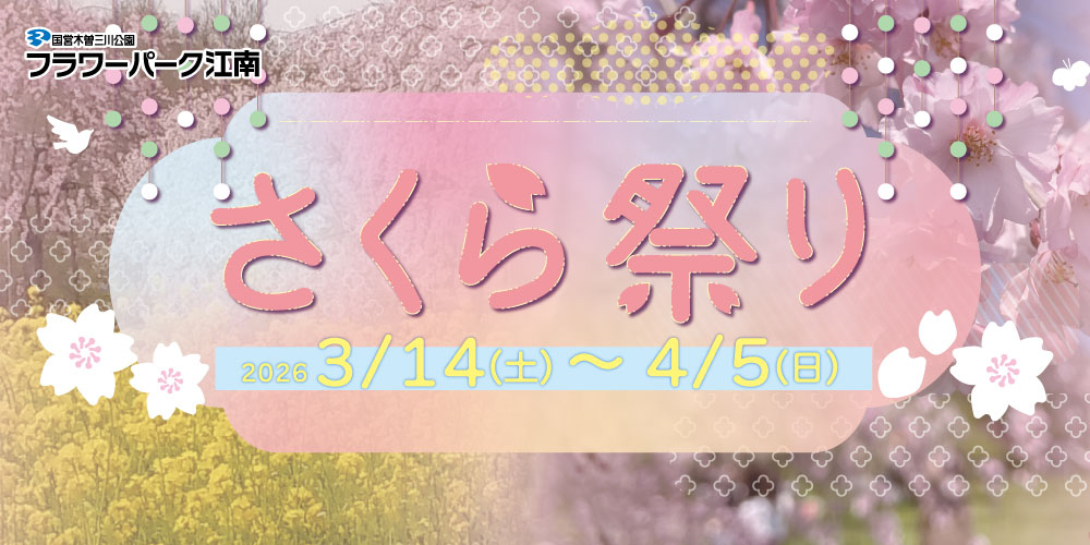 フラワーパーク江南 さくら祭り