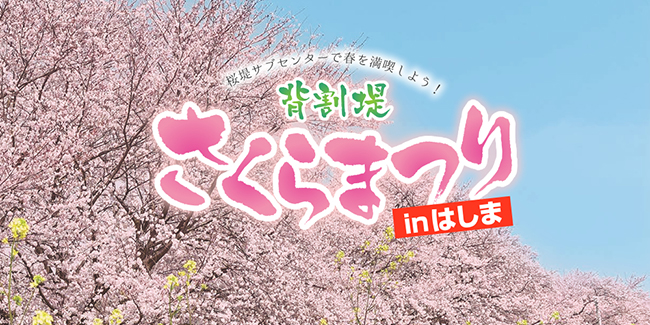 背割堤さくらまつり