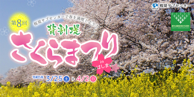背割堤さくらまつり