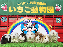 ふれあい動物園