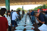 金魚日本一大会