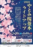 やとみ桜並木ライトアップ