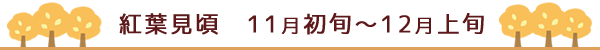 紅葉見頃　１１月初旬～１２月上旬