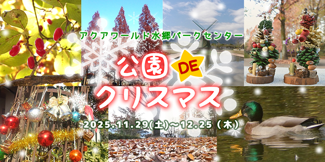 パークセンター公園ＤＥクリスマス