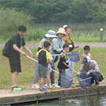 イトトンボを観察しよう