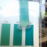 水の汚れを調べよう