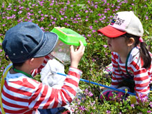 ままず調査団「草の中の生き物をみてみよう」