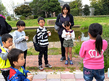 たんぽぽで遊ぼう