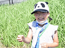 ままず調査団～夏の生き物を見つけよう①