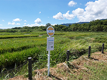 生き物博士になろう！パークセンタークイズ2024夏