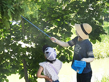 ままず調査団～夏の水辺を観察しよう