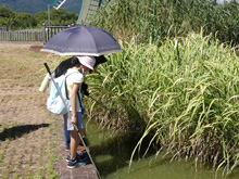 プチボランティア～花壇のお手入れ隊