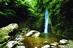 養老の滝