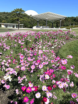 愛・地球博記念公園