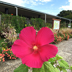 みどりが丘公園