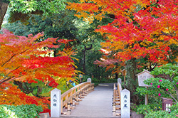 徳川園