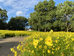 木曽三川公園センター