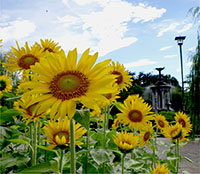 鶴舞公園