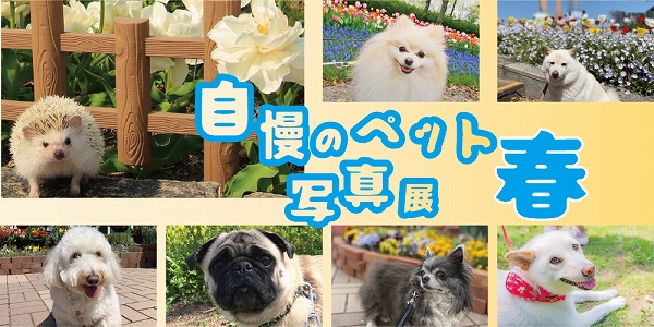 ペット写真展