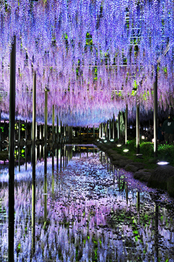 天王川公園