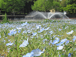 木曽三川公園センター