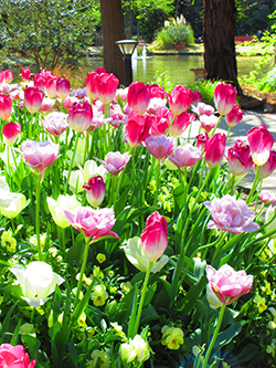 久屋大通公園フラリエ