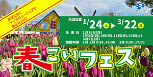 春こいフェス
