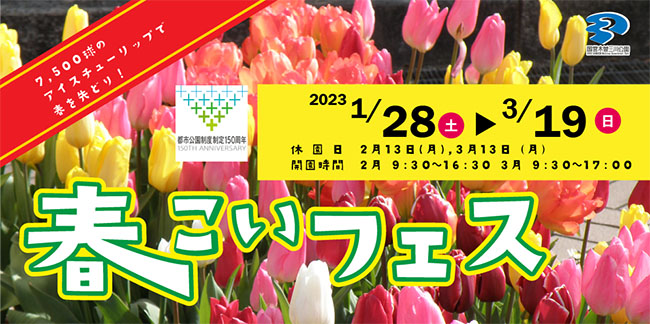 春こいフェス
