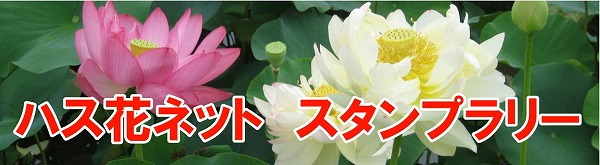 ハス花ネット