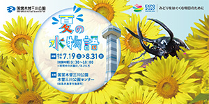 木曽三川　夏の水物語