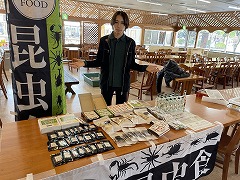 昆虫食