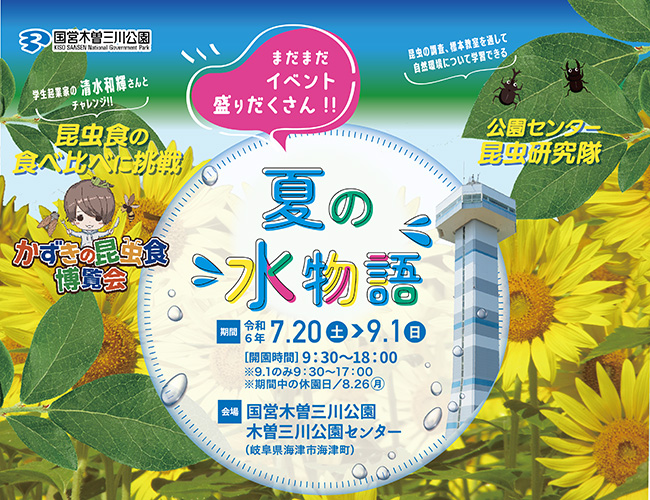 夏の水物語