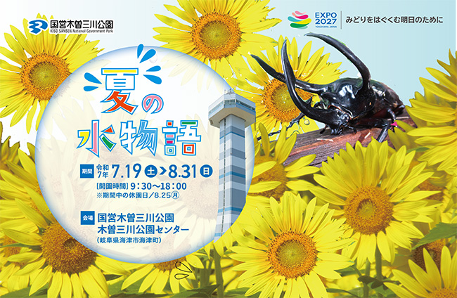 夏の水物語