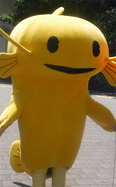 ままず