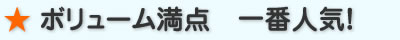 ボリューム満点 一番人気!