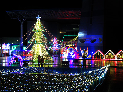 南ゾーンクリスマスマーケットともみの木