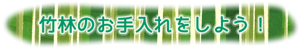 竹林のお手入れをしよう!