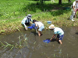 連続講座 水生生物のすみかを守ろう