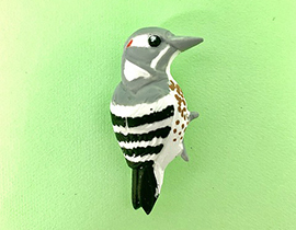 身近なキツツキ！コゲラのバッジづくり