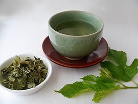 野草でお茶を作ろう～クワ編～