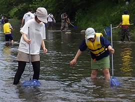 夏の木曽川の生きものさがし