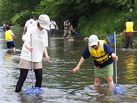 秋の木曽川の生きもの探し