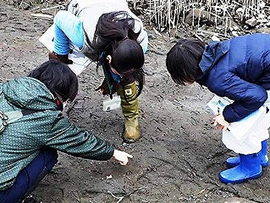 野生動物の生活のぞき隊