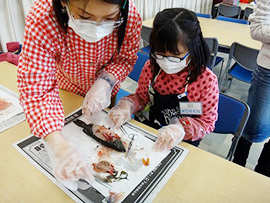 生きものの体の仕組みを調べよう~解剖の世界~