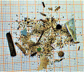 マイクロプラスチック