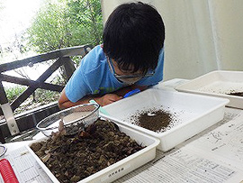 のぞいてみよう!土に暮らす生きもの
