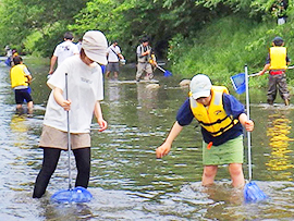 秋の木曽川の生きものさがし