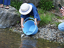 木曽川水園にお魚を放流しよう