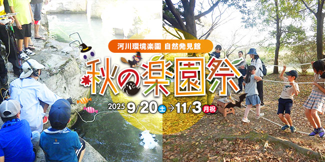 秋の楽園祭